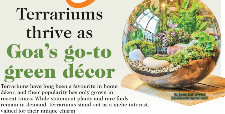 Terrariums thrive as Goa’s go-to green décor 1 Screenshot 2026 04 01 083423