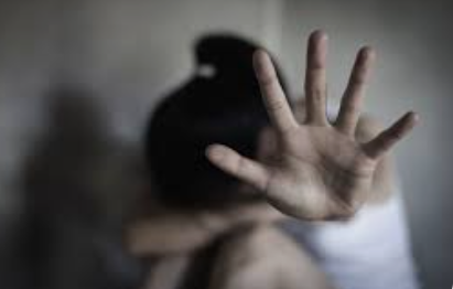 Goa: POCSO Case Filed Against Vasco Man for Alleged Assault of Minor; Probe Ongoing 1 Screenshot 2026 04 01 103711