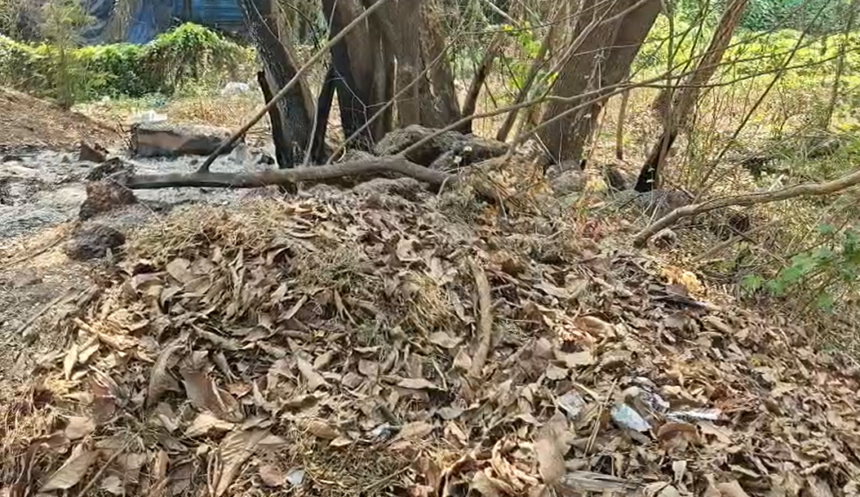 Margao Residents Protest Waste Dumping by Forest Department in Ward 21, Demand Urgent MMC Action 1 Screenshot 2026 04 01 111506
