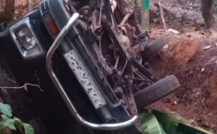 Wild Elephant ‘Omkar’ Damages Van in Kadshi, Triggers Panic Near Mopa 1 Screenshot 2026 04 06 100406