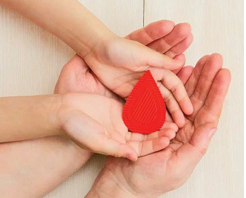 Early diagnosis crucial for haemophilia and awareness is the key 1 Screenshot 2026 04 17 091801