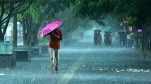 Goa's Storm Alert—Rain Relief with Wind Warning 1 images 92