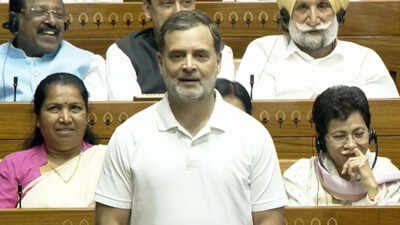 rahul gandhi in lok sabha