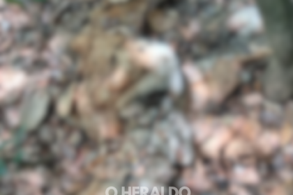 45 TEMPLATE 2026 05 02T154349.813