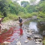 ICAR CCARI staff collecting fish samples from a stream inside Mhadei Wildlife Sanctuary for study