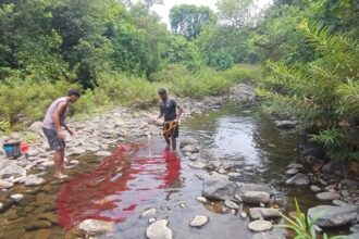 ICAR CCARI staff collecting fish samples from a stream inside Mhadei Wildlife Sanctuary for study