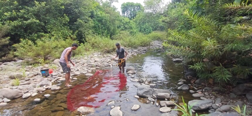ICAR CCARI staff collecting fish samples from a stream inside Mhadei Wildlife Sanctuary for study