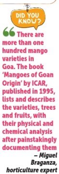 Beyond Mancurad: Do Goa’s Other Mangoes Really Measure Up? 3 Screenshot 2026 05 03 145625 1