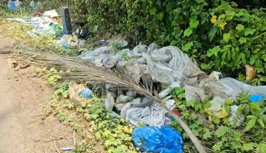 Benaulim Panchayat Members Catch Man Allegedly Dumping Garbage Roadside at Tolleband 1 Screenshot 2026 05 13 115805