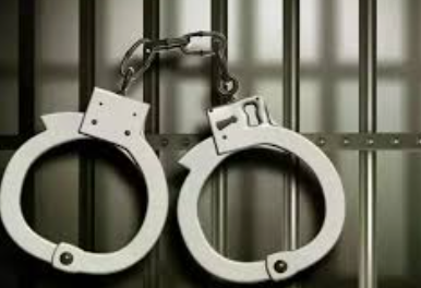 Goa Cyber Crime Police Arrest Thane Man in ₹2 Crore Online Trading Fraud Case 1 Screenshot 2026 05 23 150238
