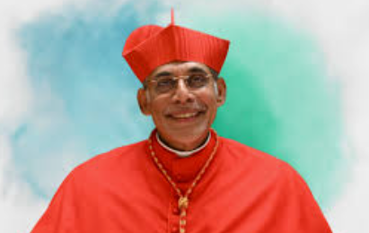 Cardinal Filipe Neri Ferrão Calls on Church to Become Beacon of Peace and Hope 1 Screenshot 2026 05 25 112908