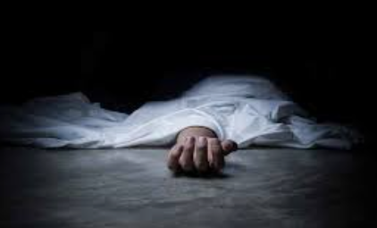 Maharashtra Man Dies After Fall While Cleaning Solar Panels in Mapusa 1 Screenshot 2026 05 28 153728
