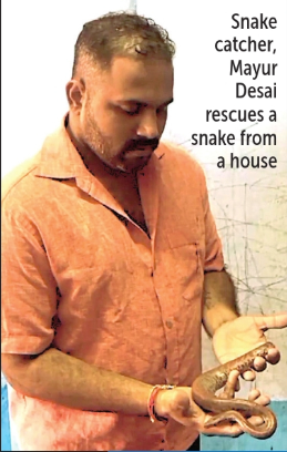 DR BHATIKAR’S DEATH SPARKS CALL FOR SNAKEBITE REGISTRY IN GOA 1 Screenshot 2026 05 31 105407