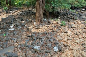 Used plastic plates littered near a stream inside Mhadei Wildlife Sanctuary