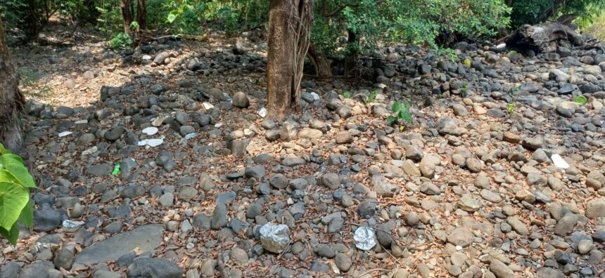 Used plastic plates littered near a stream inside Mhadei Wildlife Sanctuary