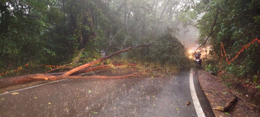 Tree collapse brings traffic to a standstill at Chorla Ghat amid heavy rain and storm 1 WhatsApp Image 2026 05 07 at 7.14.31 PM 1