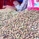 cashew3