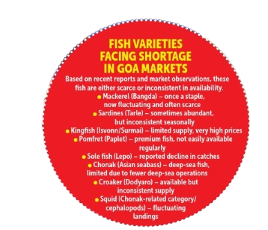 EXPORT FIRST, LOCALS LATER: GOANS LOSING THEIR STAPLE DIET 3 image 12