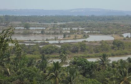 indiawaterportal import sites default files styles image 1200x675 public iwp dsc00424