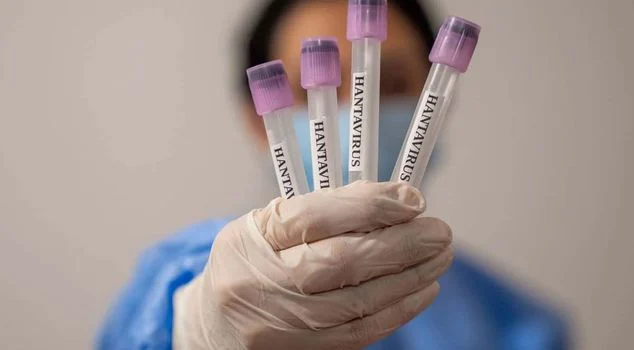 Israel Confirms First Hantavirus Case; Patient Travelled to Eastern Europe 1 israil de hantavirus vakasi tespit edildi 19825993 6051 amp