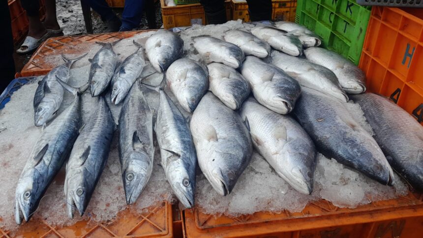 Fish Deaths in Curchorem Trigger Fresh Environmental Concerns 1 review fish 1
