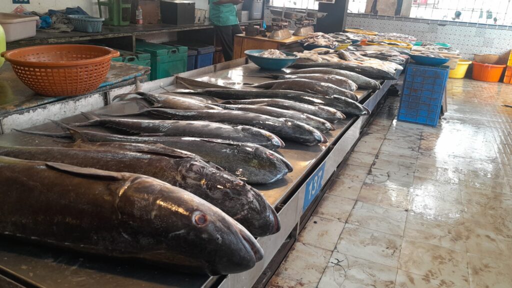 EXPORT FIRST, LOCALS LATER: GOANS LOSING THEIR STAPLE DIET 5 review fish 4