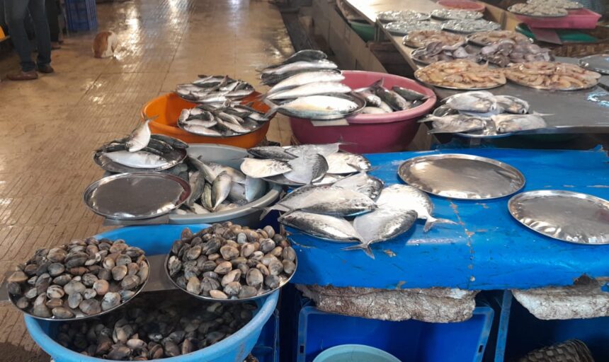 EXPORT FIRST, LOCALS LATER: GOANS LOSING THEIR STAPLE DIET 1 review fish 5 3 e1777801563403