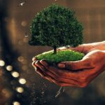 Diploma in Environmental Health 1745324059 1