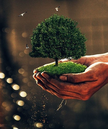 Diploma in Environmental Health 1745324059 1