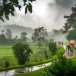 Monsoon Magic 15 Most Searched Getaways In India That Come Alive In The Rain