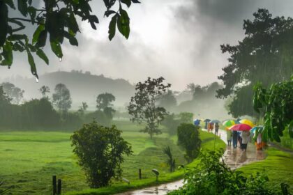 Monsoon Magic 15 Most Searched Getaways In India That Come Alive In The Rain