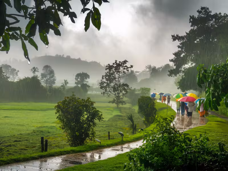 Monsoon Arrives in Goa, But Experts Warn of Possible Rainfall Deficit 1 Monsoon Magic 15 Most Searched Getaways In India That Come Alive In The Rain