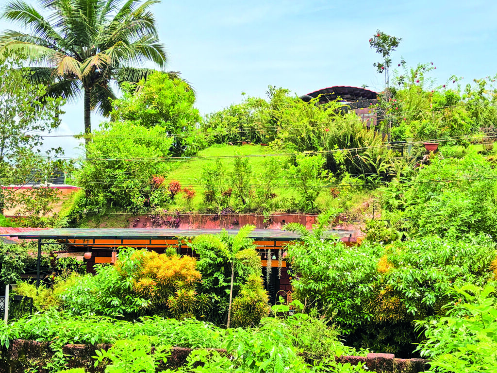Water Conservation the Smart Way 3 Roof top garden of Dr Jyoti Heblekars home put near Rooftop Gardens and Soaking Trenches for Water Recharge para