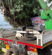 Tree felling near Ribandar-Chorao sparks outrage, vehicle's number plate questioned 1 ScreenShot Tool 20260620174706