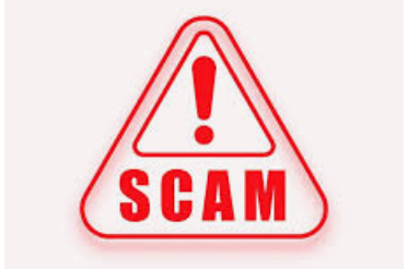 Quepem Woman Duped of ₹1.45 Lakh in Shaadi.com Marriage Scam; Police Register Cheating Case 1 Screenshot 2026 06 02 095127
