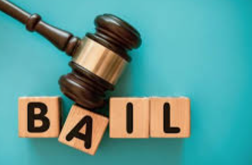 North Goa Sessions Court Grants Interim Anticipatory Bail to Activist Advino Fernandes in Extortion Case 1 Screenshot 2026 06 04 103806