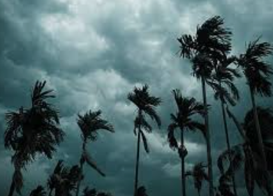 Southwest Monsoon Advances Into Goa, Bringing Increased Rainfall Across the State 1 Screenshot 2026 06 05 154606
