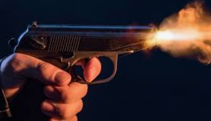 Gunshot Fired During Family Dispute in Shirgao Hits House; Two Detained, No Injuries Reported 1 Screenshot 2026 06 06 095828
