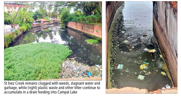 Fish deaths lay bare larger decay in Panjim’s water bodies 1 Screenshot 2026 06 09 081051