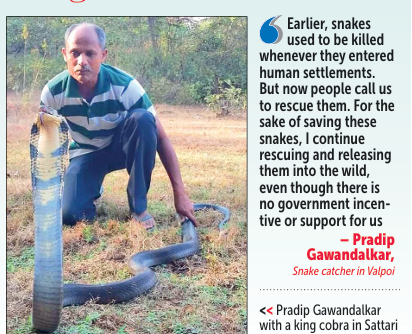 Valpoi’s Pradip Gawandalkar: Tailor-made for snake rescue 1 Screenshot 2026 06 10 084045