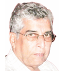 Alongwith environmental concerns, Goa copes with loss of trusted guardians 1 Screenshot 2026 06 11 090207