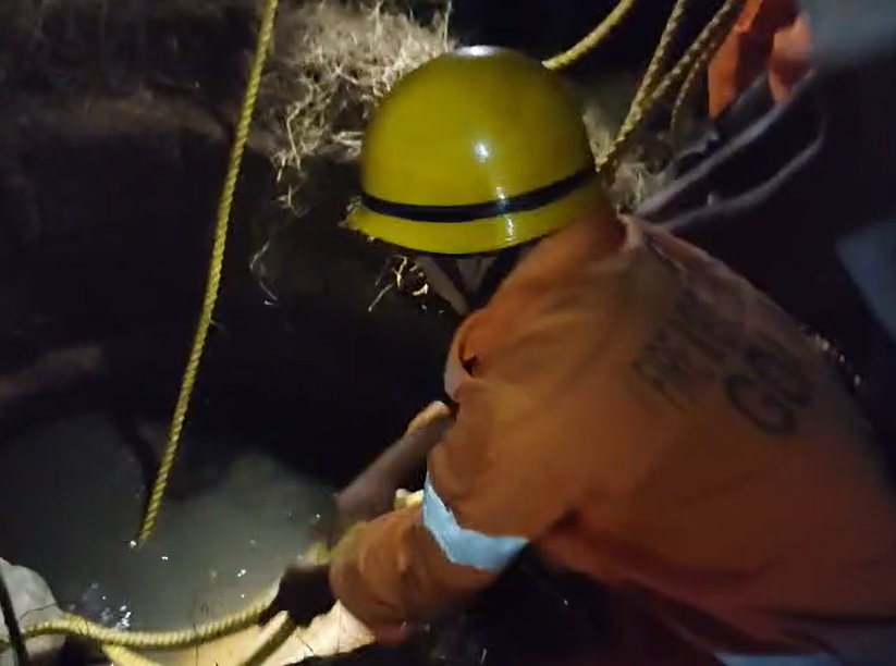 Bull Rescued from Well in Morjim After 30-Minute Operation by Pernem Fire Brigade and Locals 1 Screenshot 2026 06 13 102605