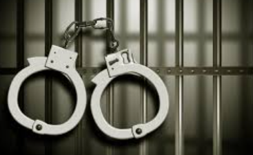 Allegedly Drunk Driver Nearly Collides With Chief Minister Pramod Sawant’s Convoy at Amona; Four Arrested 1 Screenshot 2026 06 13 130331 1