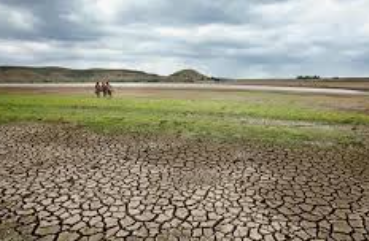 Goa Faces Nearly 50% Monsoon Rainfall Deficit; CM Pramod Sawant Directs Water Conservation Measures 1 Screenshot 2026 06 15 093159