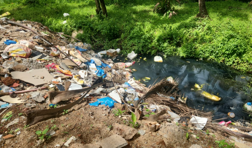Alleged Illegal Pond Filling at Benaulim Raises Environmental Concerns; Flying Squad Conducts Inspection 1 Screenshot 2026 06 15 141620