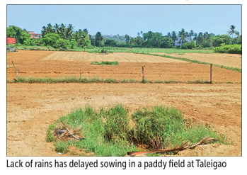 As monsoon stalls, anxiety grows across Goa’s paddy belt 1 Screenshot 2026 06 16 075618