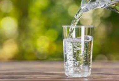 Worm Found in Valpoi Tap Water, Renewing Concerns Over Drinking Water Quality in Sattari 1 Screenshot 2026 06 17 112031