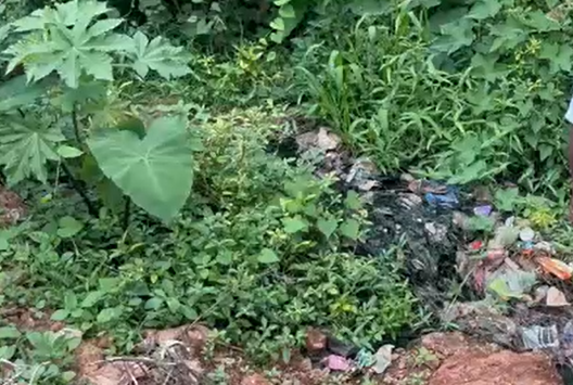 Heated Exchange Between Cortalim MLA Anton Vas and Health Officer Over Persistent Sewage Discharge Issue 1 Screenshot 2026 06 19 141712