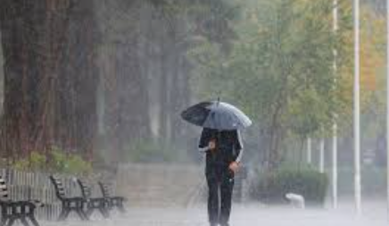 IMD Issues Yellow Alert for Goa, Heavy Rain Likely at Isolated Places on June 22 and 23 1 Screenshot 2026 06 19 142919