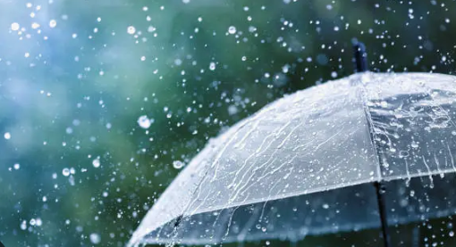 Goa Receives 0.81 Inches of Rainfall; Yellow Alert Issued for Next Two Days 1 Screenshot 2026 06 22 104630